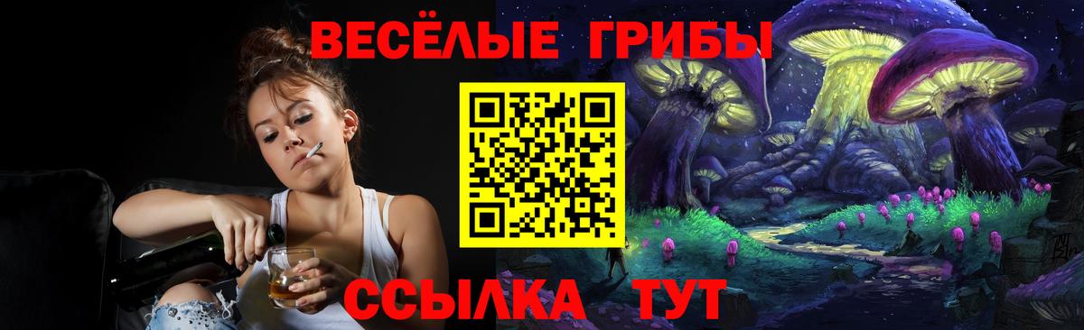 Галлюциногенные грибы Psilocybe  Вход с VPN  Норильск 